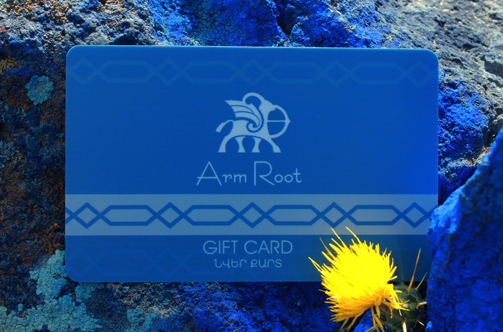 Gift Card 100$